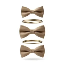 Bow tie
