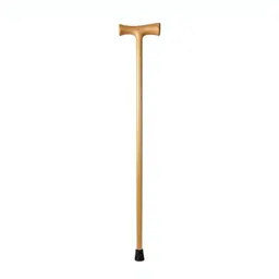 Walking cane