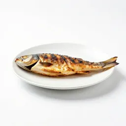 Grilled fish on a plate