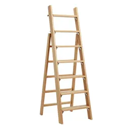 Ladder shelf