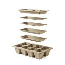 Seed tray