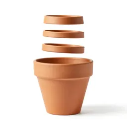 Terracotta plant pot