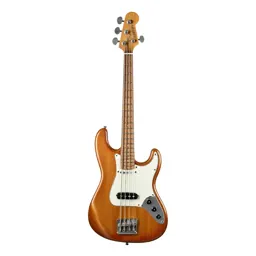 Bass guitar