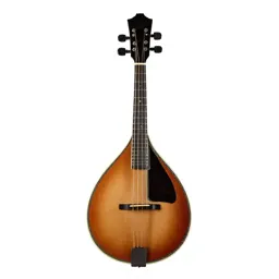 Mandolin
