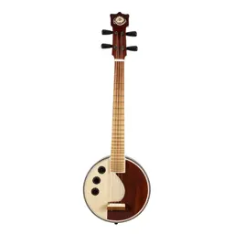 Sitar