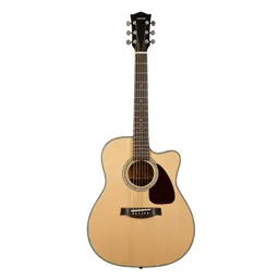 Acoustic guitar
