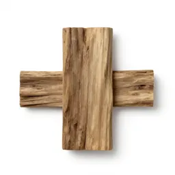Piece of petrified wood