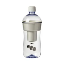 Water filter bottle