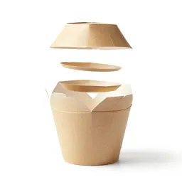 Folded takeaway noodle box