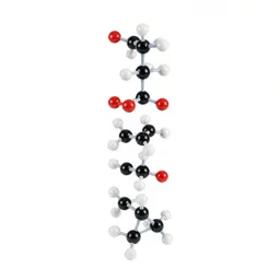 Molecular model kit