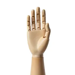 Prosthetic hand