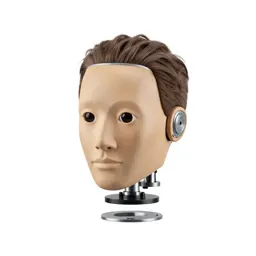 Humanoid robot head