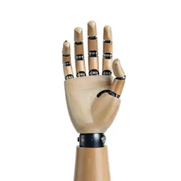 Robotic hand