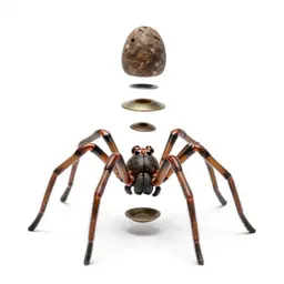 Spider walker probe