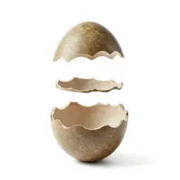 Xeno egg casing