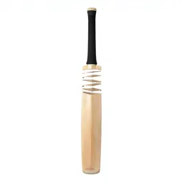 Cricket bat
