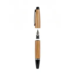 Fountain pen