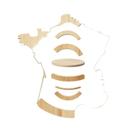 French curve template