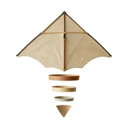 Kite