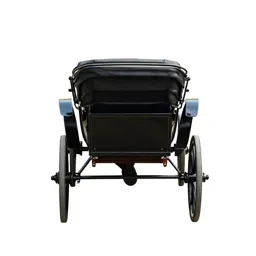 Horse-drawn carriage