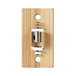 Mortise lock plate