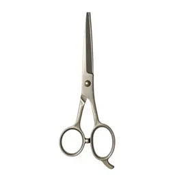 Pair of grooming scissors