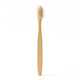 Toothbrush in a holder