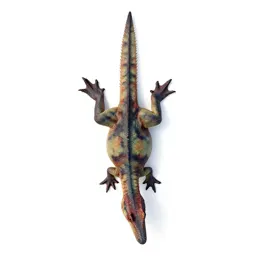 Dimorphodon