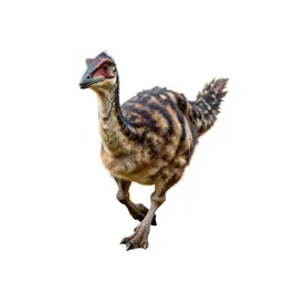 Gallimimus running