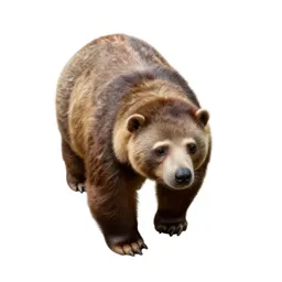 Giant ground sloth