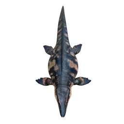 Plesiosaur