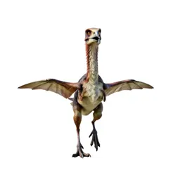 Archaeopteryx