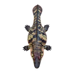 Ichthyosaur