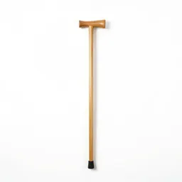 Walking cane