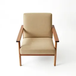 Mid-century lounge chair