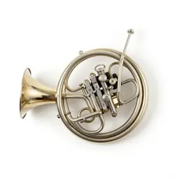 French horn