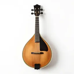 Mandolin