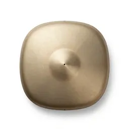 Steel tongue drum