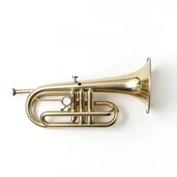 Tuba