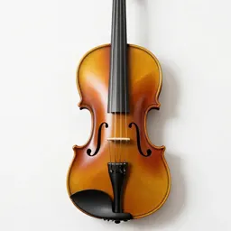 Violin with a bow