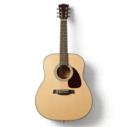 Acoustic guitar