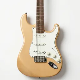 Electric guitar