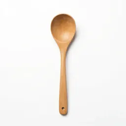 Soup ladle