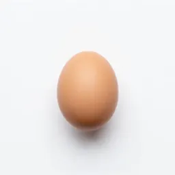 Egg timer