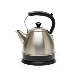 Electric kettle