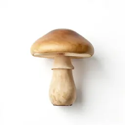 Mushroom table lamp