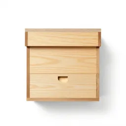 Beehive box
