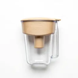 Water filter bottle