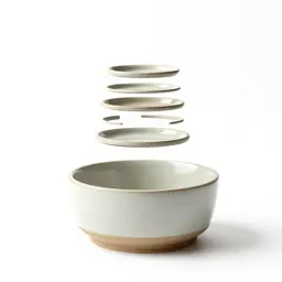 Ceramic dog bowl