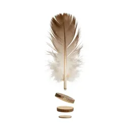 Feather wand toy
